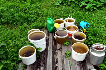 plastic buckets with water for irrigation