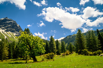 Mountain landscape with green grass, meadows. Himalayas peaks & alpine landscape from the trail of...