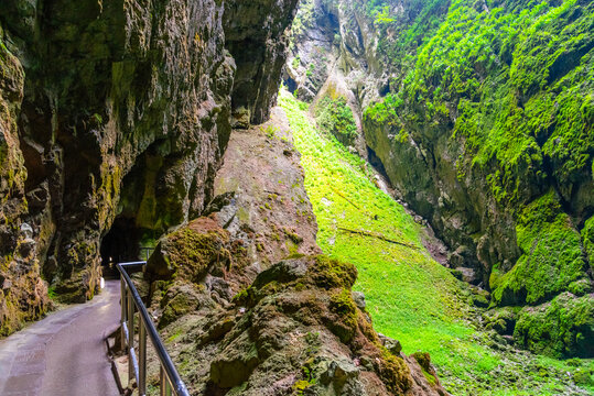 Macocha Abyss - large limestone gorge in Moravian Karst, Czech: Moravsky Kras, Czech Republic. View from bottom.