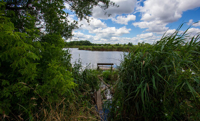 Reeds and a lake with a lonely wooden bench  made for fishing