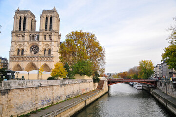 Fototapeta na wymiar 復興中のノートルダム大聖堂　Notre Dame Cathedral during reconstruction