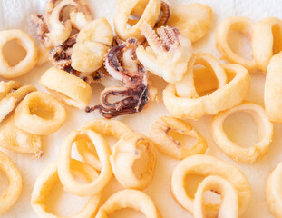 fried squids or octopus (calamari) isolated on white background