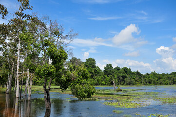 カンボジアにある池と遊歩道　Promenade of a pond in Cambodia