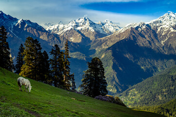 Mountain landscape with green grass, meadows. Himalayas peaks & alpine landscape from the trail of Sar Pass trek  Himalayan region of Kasol, Himachal Pradesh, India.