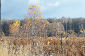landscape in October