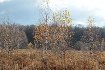 landscape in October