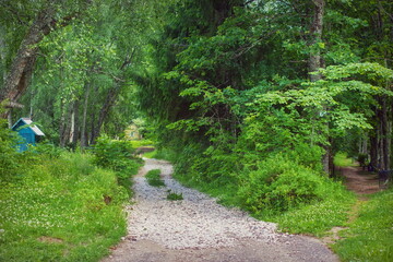 Landscape with two paths-rural study