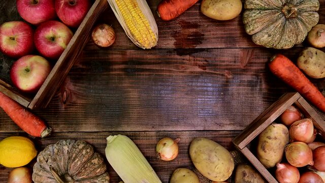 Farmer with organic fruit and vegetable in Autumn season on wood background. Fall harvest cornucopia agriculture. Thanksgiving day.