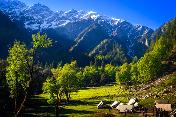 MoMountain landscape with green grass. Scenic camping site on meadows of Himalayan peaks & alpine...