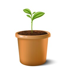 3d realistic vector icon illustration of small plant in the clay pot. Isolated on white background. 