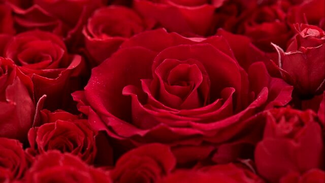 バラの花束