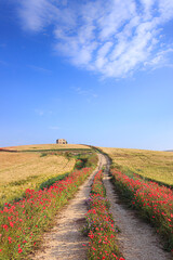 SPRINGTIME. Between Apulia and Basilicata, Italy. Hilly landscape with farmhouse and country road...