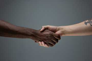 Togetherness. Racial tolerance. Respect social unity. African and caucasian hands gesturing on gray studio background. Human rights, friendship, intenational unity concept. Interracial unity.