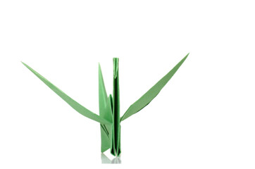 A green origami crane paper