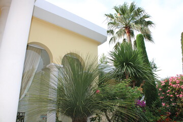 Villa de luxe avec arche et palmier