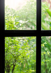 window with background trees.