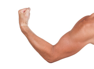 Man`s muscular arm isolated on white baclground
