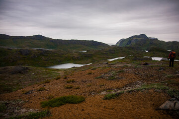 Green mountains in the fiords of Narsaq, South West Greenland