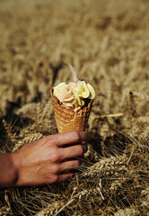 The hand holds a cornet with sweets.