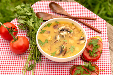 Mushroom soup with croutons and tomato sandwiches on a red checked napkin in the open air. Village vegetarian lunch.