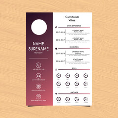 Professional Curriculum Vitae Design