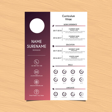 Professional Curriculum Vitae Design