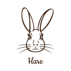 Line drawing, silhouette of a hare