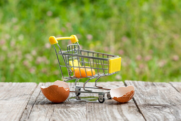 A broken egg in a miniature shopping cart against a background of green grass. Bad egg purchase.