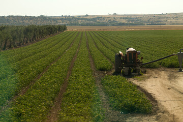 tractor in field