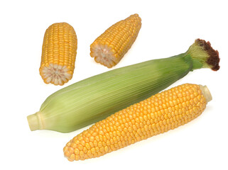 Two ears of corn and two its pieces isolated on a white background