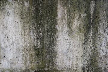 Abstract old dirty dark mossy plaster cement concrete wall texture copy space background