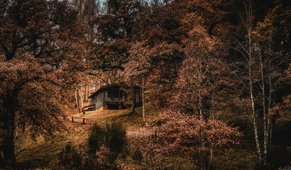 Autumnal Colours