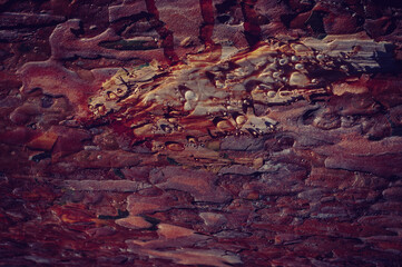 Red brown background. Background of grunge bark texture. Beautiful natural wallpaper.