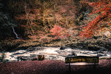 Autumnal Colours
