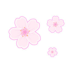 Set of spring season, Cherry blossom (sakura) vector set, eps10 vector format.