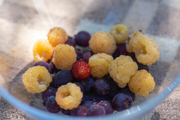 Glass bowl with summer berries, healthy breakfast on brown picnic blanket in sunlight