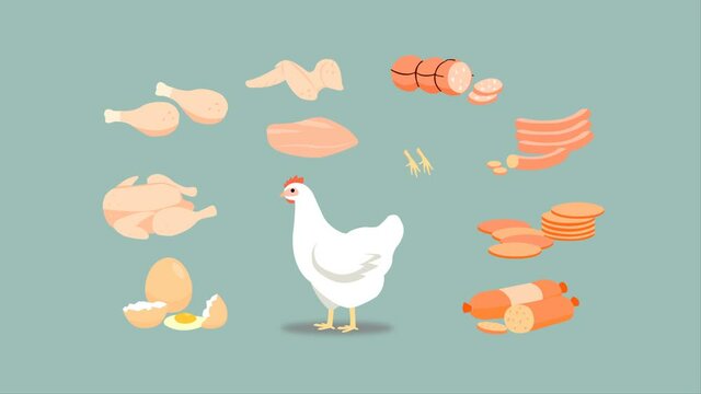 Chicken products it is a popular food. Chicken products can be processed a variety of types.