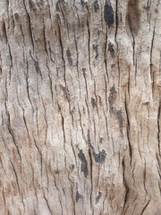 Old wooden floor for graphic design or wallpapers