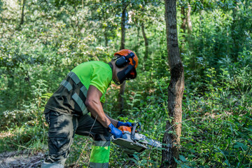  forest man working with chainsaw in forest