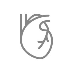 Human heart line icon. Healthy internal organ symbol