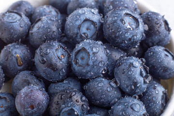 Fresh ripe blueberries with drops of dew. Berry background. Macro photo