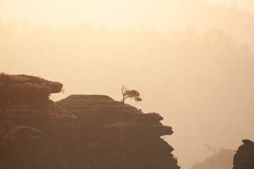 Sächsische Schweiz - Nebel morgens 