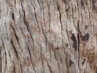 Old wooden floor for graphic design or wallpapers