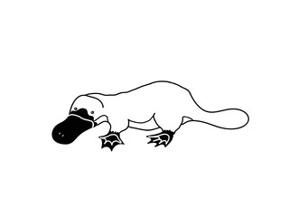 Platypus vector illustration. Black and white icon of an australian animal.