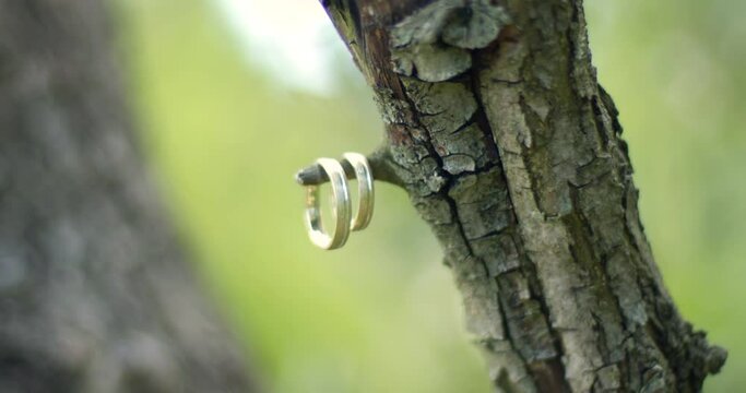 Wedding ring in the trees