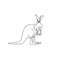 Kangaroo vector illustration. Hand drawn australian animal.