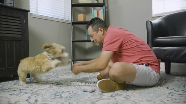 522 Man playing with his pet dog inside his house