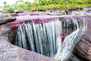 Caño de los siete colores