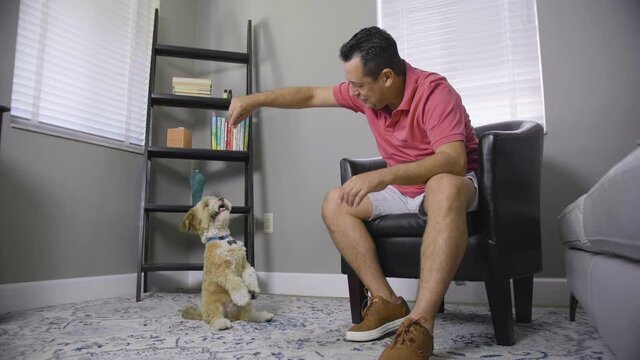 523 Man teaching dog new tricks