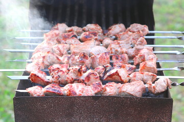 Cooking meat on skewers in barbecue on picnic